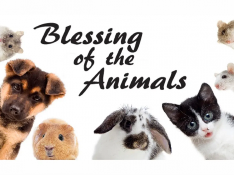 Blessing of the Animals