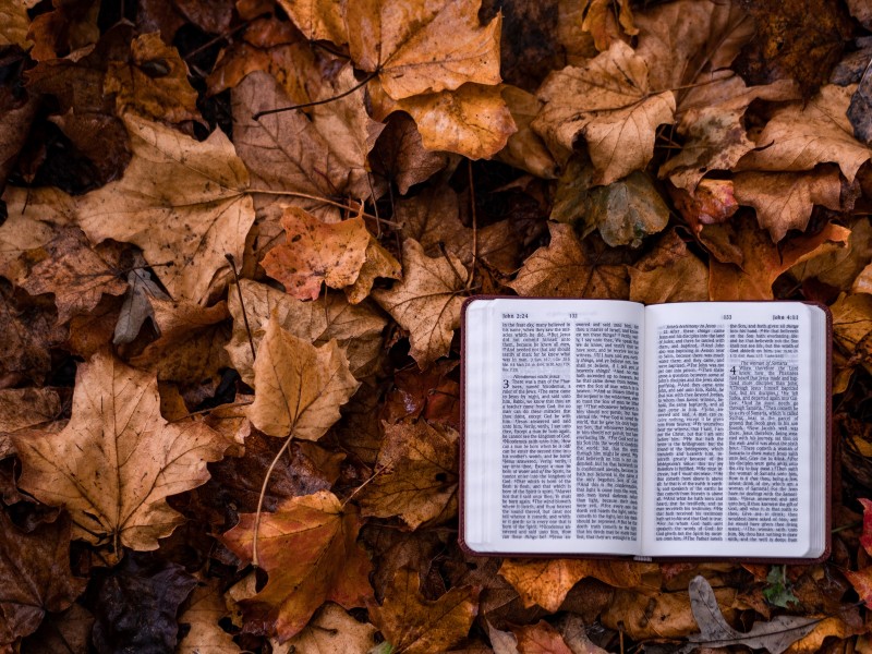 November 13 2022 Worship Service