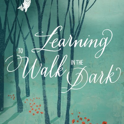 VIBE - Book Study