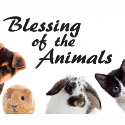 Blessing of the Animals