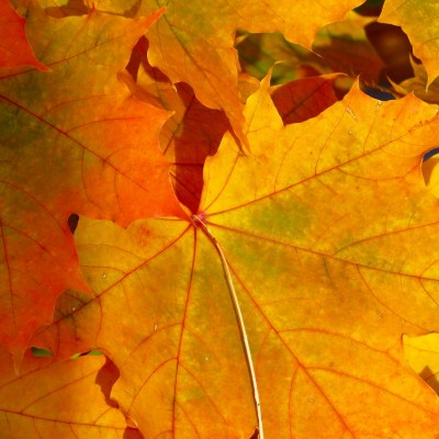 October 26 2025 Worship Service