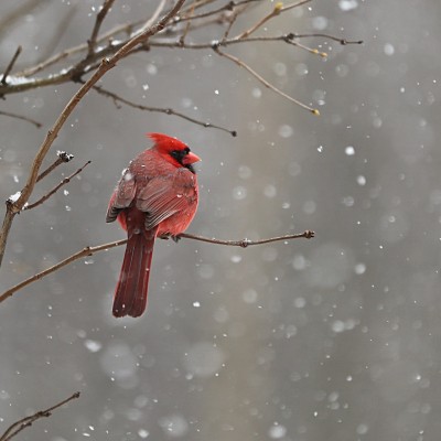 March 1 2026 Worship